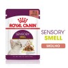 Royal Canin Wet Sensory Smell